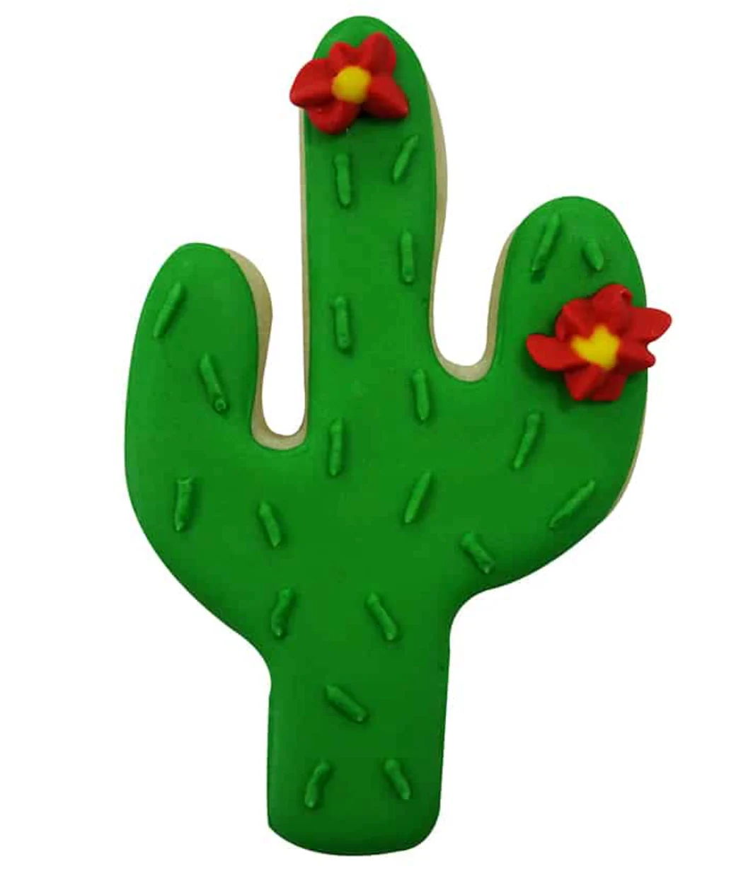Cookie Cutter Cactus 4” - Image 2