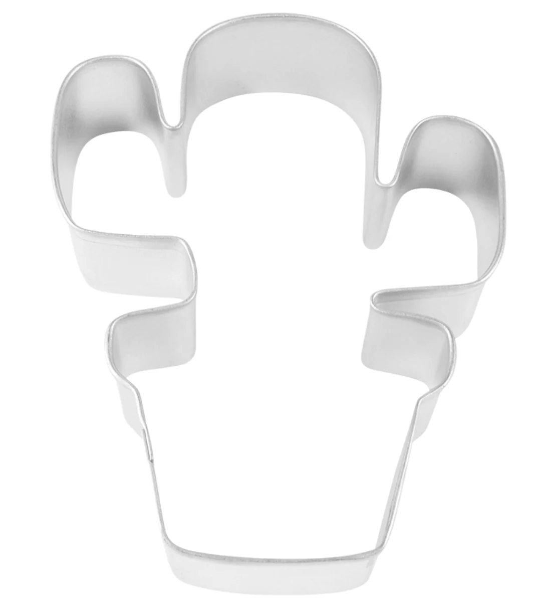 Cookie Cutter Cactus in Pot 4”