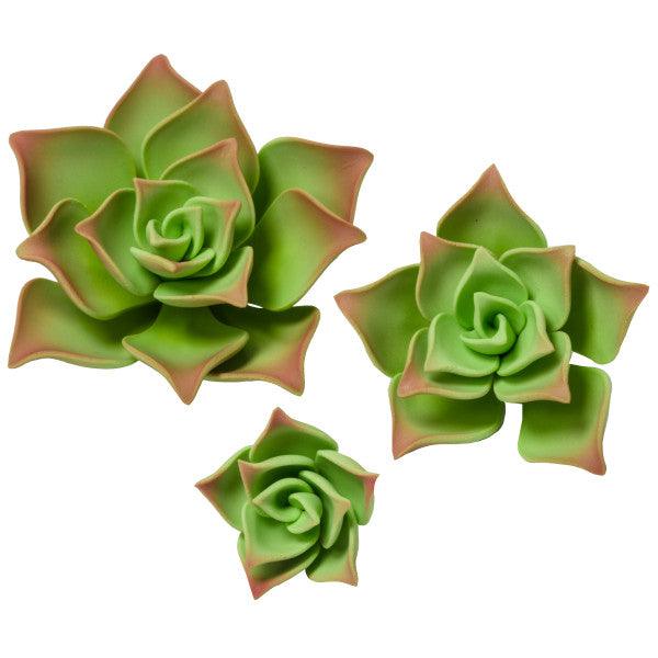 Green Succulents Gum Paste Flowers Medium
