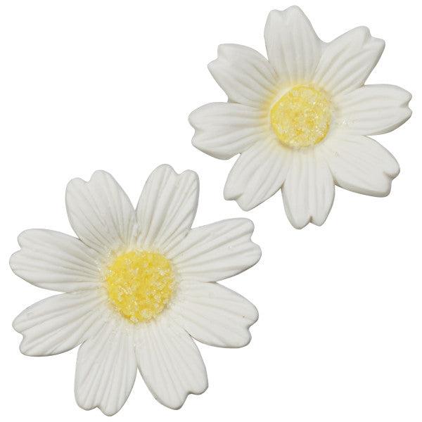 White Daisies Assortment Gum Paste 6pcs